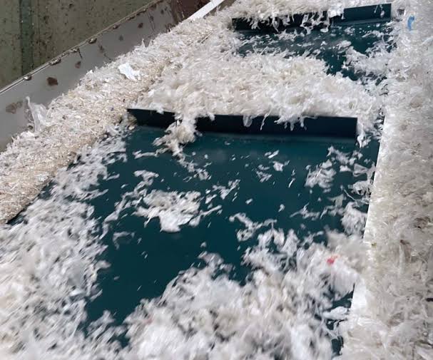 Plastic flakes moving on a conveyor during recycling