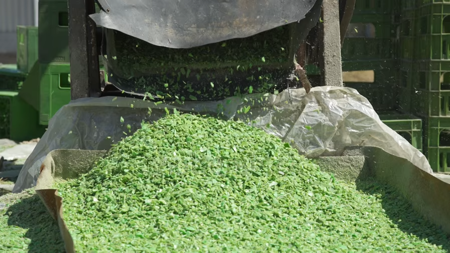 Green recycled plastic flakes being collected during processing
